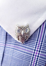 Load image into Gallery viewer, Crystal Rhinestones Owl Collar Pin
